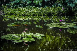 161 HI0906260212HI_edit