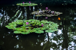 162 HI0906260217HI_edit