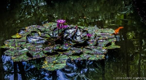 164 HI0906260224HI_edit