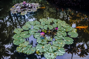 171 HI0906260301HI_edit