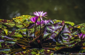 173 HI0906260304HI_edit