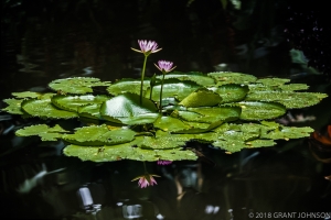 174 HI0906260306HI_edit