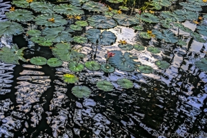 176 HI8005000512KIaltMs