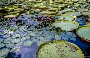 179 HI8609000732KU_edit