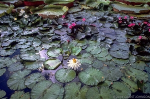 180 HI8609000733KULilyM