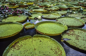 182 HI8609000735KU_edit_2