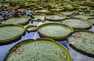 183 HI8609000736KU_edit_2