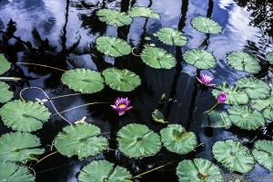 186 HI8005000510KU_edit