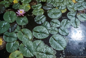 190 MA7700000104HP_edit