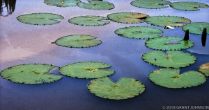 192 WA9908070401DC_edit