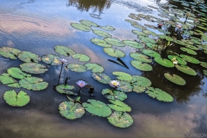 198 WA9908070413DC_pano