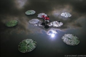 204 WA9908270314DC_edit