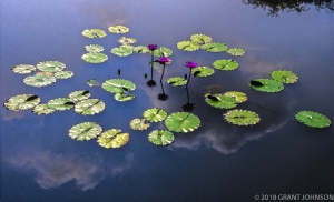 206 WA9908270606DC_edit