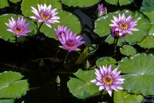 213 WA9908270802DC (2)