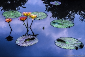 215 WA9908270804DC_edit