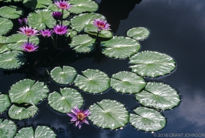 216 WA9908270807DC (2)