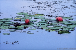 219 WA9908270931DC_edit