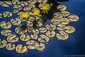 222 WA9908291009DC (2)