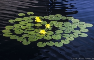 223 WA9908291029DC_edit