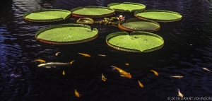 224 WA9908291424DC_edit