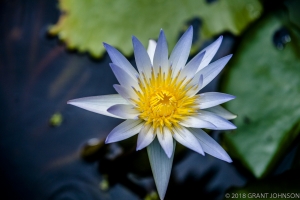 232 20150807_MG_0019