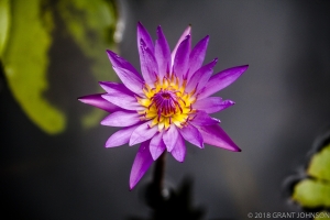 233 20150807_MG_0023