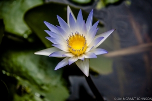 239 20150807_MG_0018