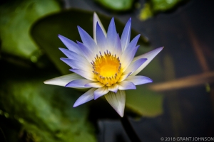 242 20150807_MG_0020