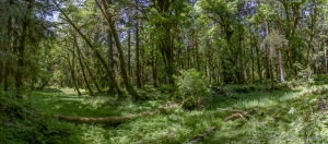 2015_06_12_0358_Pano2-101