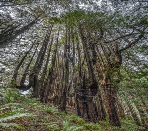 2017_02_14_0137_pano3-105