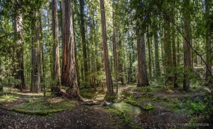 2017_04_28_0204_pano2-111