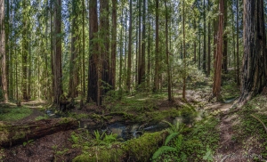 2017_04_28_0211_pano2-112