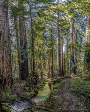 2017_04_28_0230_pano2-113