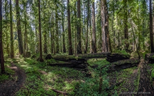 2017_04_28_0298_pano-115