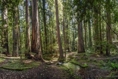 2017_04_28_0204_pano2-111