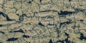 CANADA, clearcuts, logging, ©GRANT JOHNSON, managed forest