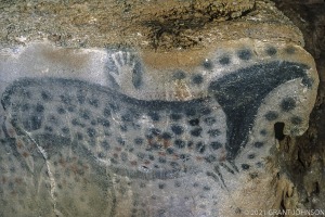 Dordogne, France, Pech-Merle, Périgord, cave painting, grotte, horse, prehistoric, prehistoric rock art, rock art, ©GRANT JOHNSON