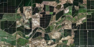 California, agriculture, rice, ©GRANT JOHNSON