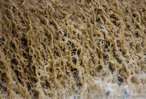100 UT20110619CC3