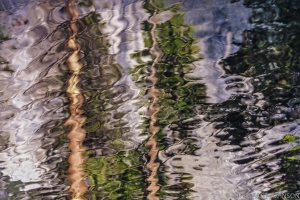 105 H209911210124YO