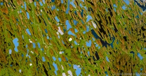 119 CANADA_NORTH_SLOPE_12