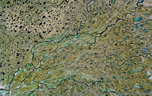 130 RUSSIA_LENA_DELTA_Pano_Original
