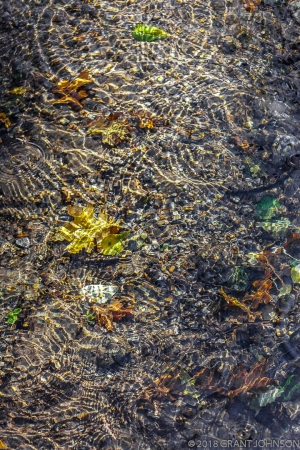 Snow Melt, Yosemite Creek