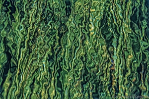 138 FL9605221126IR_editS