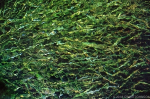 140 h2o9605221429LabNrS