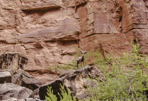 112 AZ9608142716GC