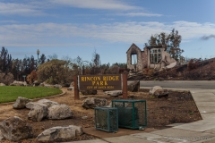 Fountian Grove Parkway, Santa Rosa, Sonoma County, Wine Country Fire Storm