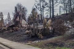 Fountian Grove Parkway, Santa Rosa, Sonoma County, Wine Country Fire Storm