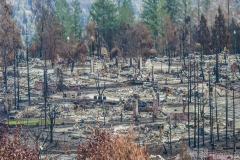 Fountian Grove Parkway, Santa Rosa, Sonoma County, Wine Country Fire Storm