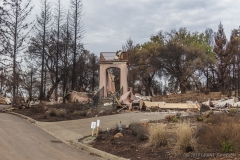 Firestorm, Fountian Grove Parkway_0008